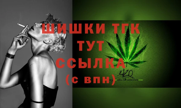 ешки Тайга