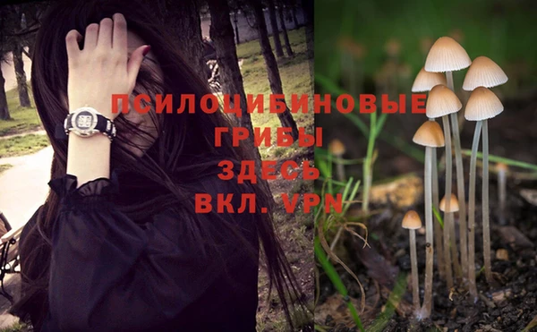 трава Тихвин